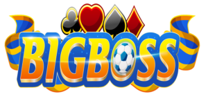 bigboss logo
